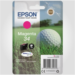 Epson 34 M, Original patron