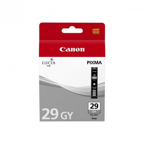 canon-pgi-29-gra-original-patron-2.jpg